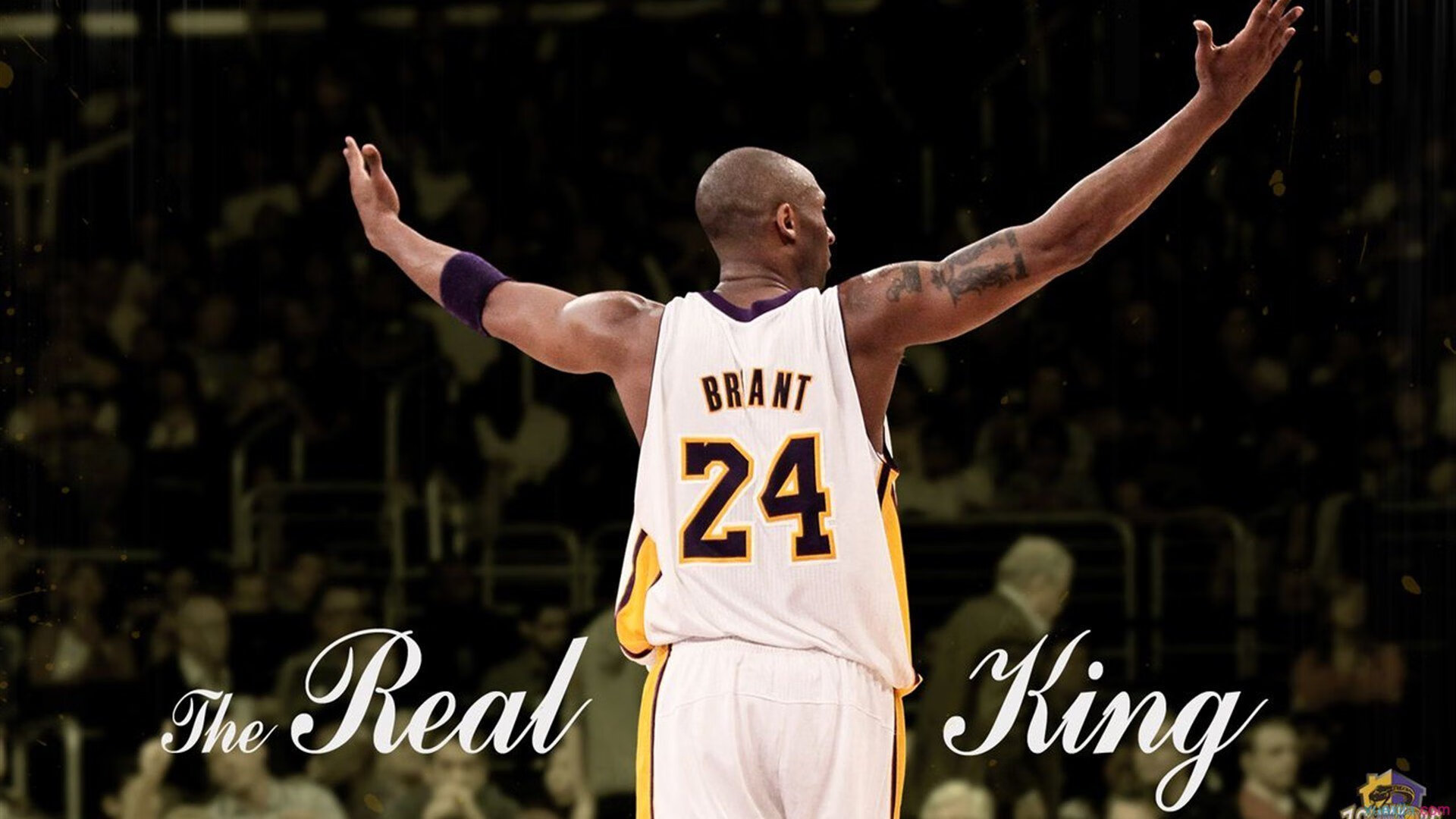 绿茵双面镜，福登冠军级表现映照摩纳哥轻取伊朗的战术启示